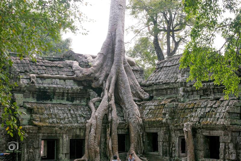 Siem Reap