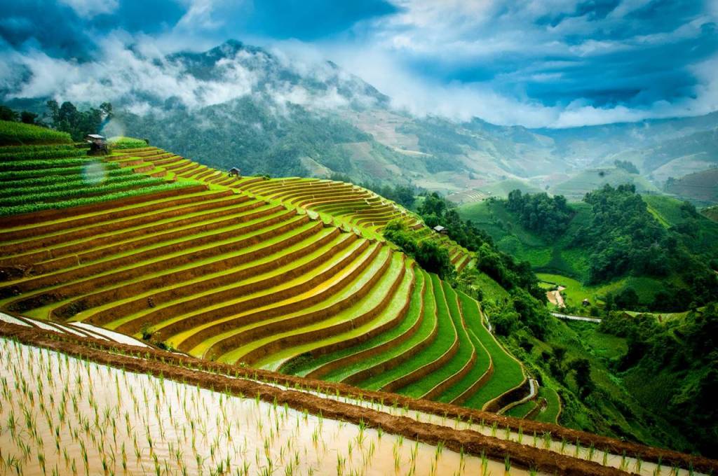 Sapa